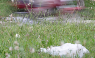 Licitação para limpeza de ruas esbarra na burocracia