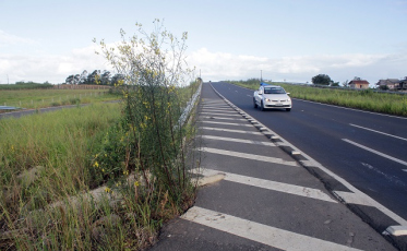 Limparam parte da Via Rápida. Por engano