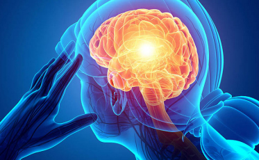 Dive esclarece sobre morte por meningite