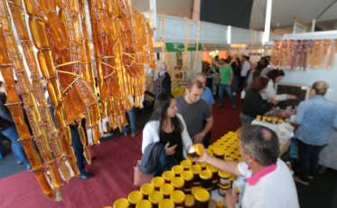 ((Áudio)) Empresa Içarense de mel celebra aumento nas exportações