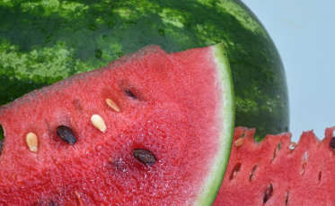 Chuvas: solo úmido e frutas de qualidade