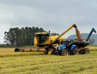 El Niño acende alerta para produtores de arroz de SC às vésperas da semeadura da safra