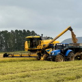 El Niño acende alerta para produtores de arroz de SC às vésperas da semeadura da safra