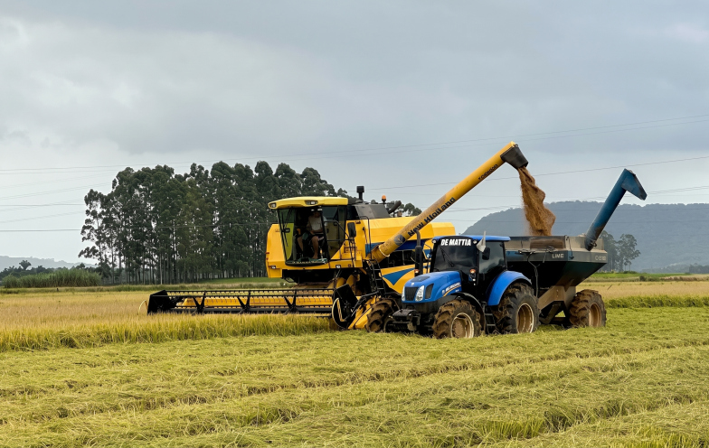 El Niño acende alerta para produtores de arroz de SC às vésperas da semeadura da safra