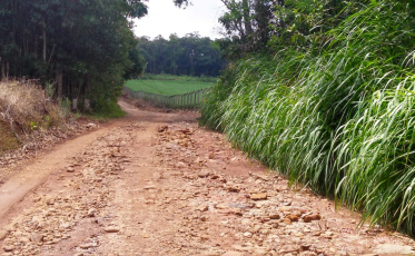 No Morro da Cruz, problemas com a estrada