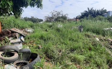 Vigilância Epidemiológica planeja ações contra a dengue