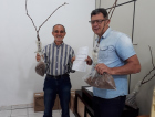 Em Urussanga, mudas de uva Goethe são distribuídas