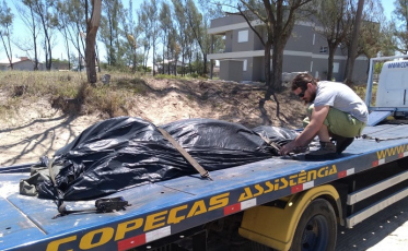 Museu de Zoologia da Unesc atua em resgate de Baleia Minke