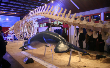 Unesc é finalista em duas categorias do 1º Prêmio Internacional de Sustentabilidade Brasil 