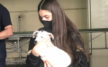 Forquilhinha realiza mutirão de castração itinerante