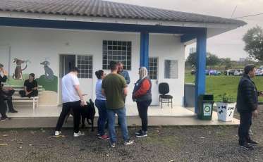 Núcleo de Bem-Estar Animal: Descaso e assédio moral serão levados ao Ministério Público