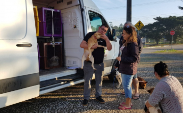 Em menos de um ano, mais de 1.800 castrações já foram realizadas em Criciúma