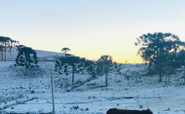 Nevou na Serra. Não tanto quanto se esperava (VÍDEO)