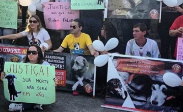 Autor de envenenamento de cão é condenado