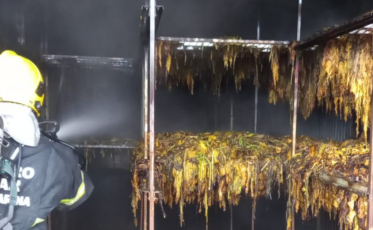 Incêndio atinge estufa de fumo em Maracajá