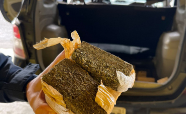 BR-101: PRF apreende mais de 300 quilos de maconha dentro de veículo