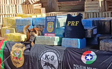 Com quase duas toneladas de maconha em carreta, homem é preso na BR-280