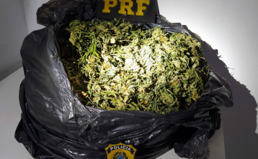 PRF apreende 1,3 quilos de “supermaconha” na BR -101