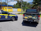 PRF apreende meia tonelada de maconha em picape de Sombrio