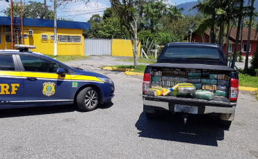 PRF apreende meia tonelada de maconha em picape de Sombrio