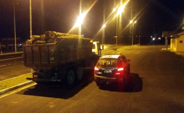 Caminhão de Içara é flagrado transportando toras de araucária