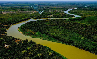 Perícia afirma que incêndio no Pantanal foi intencional