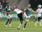 Palmeiras quase campeão