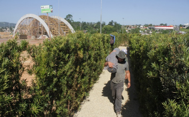 Um mês para deixar tudo pronto