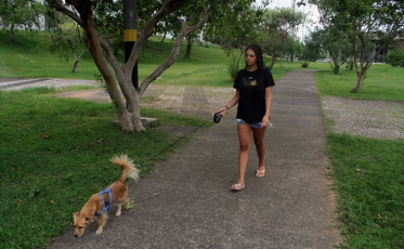 Parque da Prefeitura em obras a partir de março