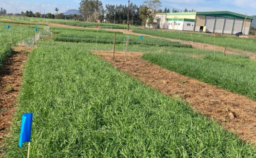 Vem aí o 1ª Campo de Inverno da Cooperja