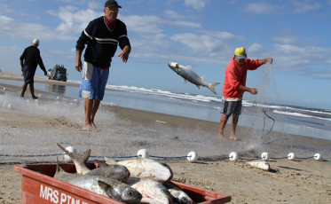 2 de fevereiro, um dia especial para os pescadores