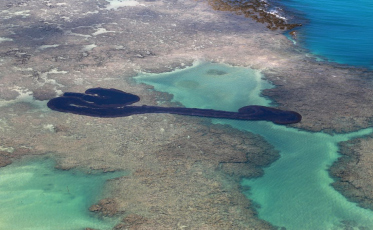 Óleo que vazou foi extraído de três campos na Venezuela, diz Petrobras