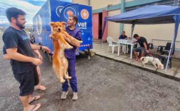 Nova Veneza: Programa promove 400 castrações em quatro meses de atuação