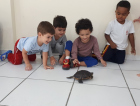 Preservação animal em destaque no CEI Lapagesse