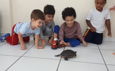 Preservação animal em destaque no CEI Lapagesse