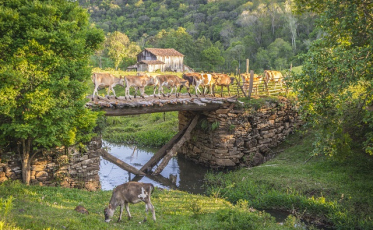 Um sábado de atrações na primavera de Nova Veneza