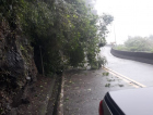 Queda de árvore é registrada na Serra do Rio do Rasto