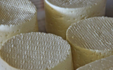 SC tem habilitados a exportar produtos lácteos para a China