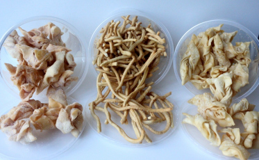 Casa Guido vende quitutes para manutenção de atividades