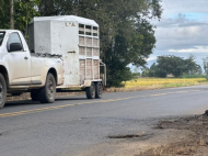 Buracos causam transtornos para motoristas | Foto: Geórgia Gava/4oito