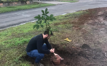 As ações cidadãs do RenovaBR em Criciúma