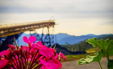 Indústria carbonífera trabalha alinhada aos Objetivos de Desenvolvimento Sustentável