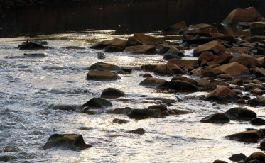 Água: Os planos de Bacias do Sul