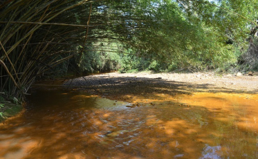 Iniciam os preparativos para “Diálogo entre Bacias Hidrográficas”