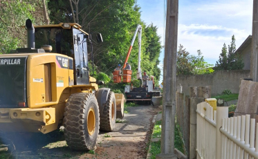 Poda de árvores interdita rua até quarta-feira em Cocal do Sul