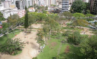 Peixes aparecem mortos em lago da Praça do Congresso