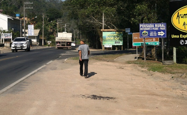 Com corte de árvores, trânsito terá alterações na SC-390