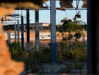 Por dentro da antiga Cecrisa: veja fotos da área abandonada que vai virar parque de inovação