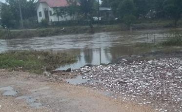 Sangão à espera dos materiais de limpeza