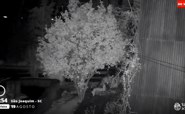 A neve na Serra catarinense: assista pelo 4oito (VÍDEO)